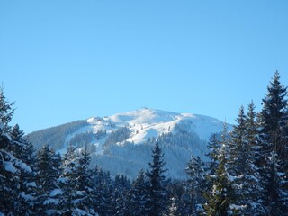 Appartamento per vacanze Mittersill Registrazione all'aperto 6