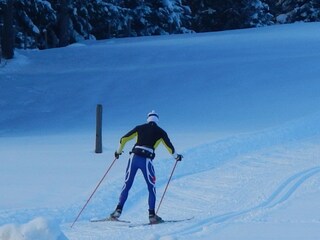 Appartamento per vacanze Mittersill Ambiente 15