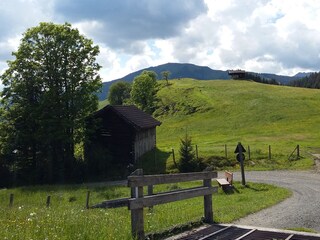 Appartamento per vacanze Mittersill Registrazione all'aperto 5