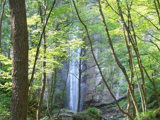 Appartamento per vacanze Caravonica Ambiente 32