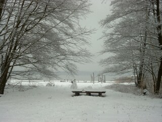 Winter am Grimnitzsee