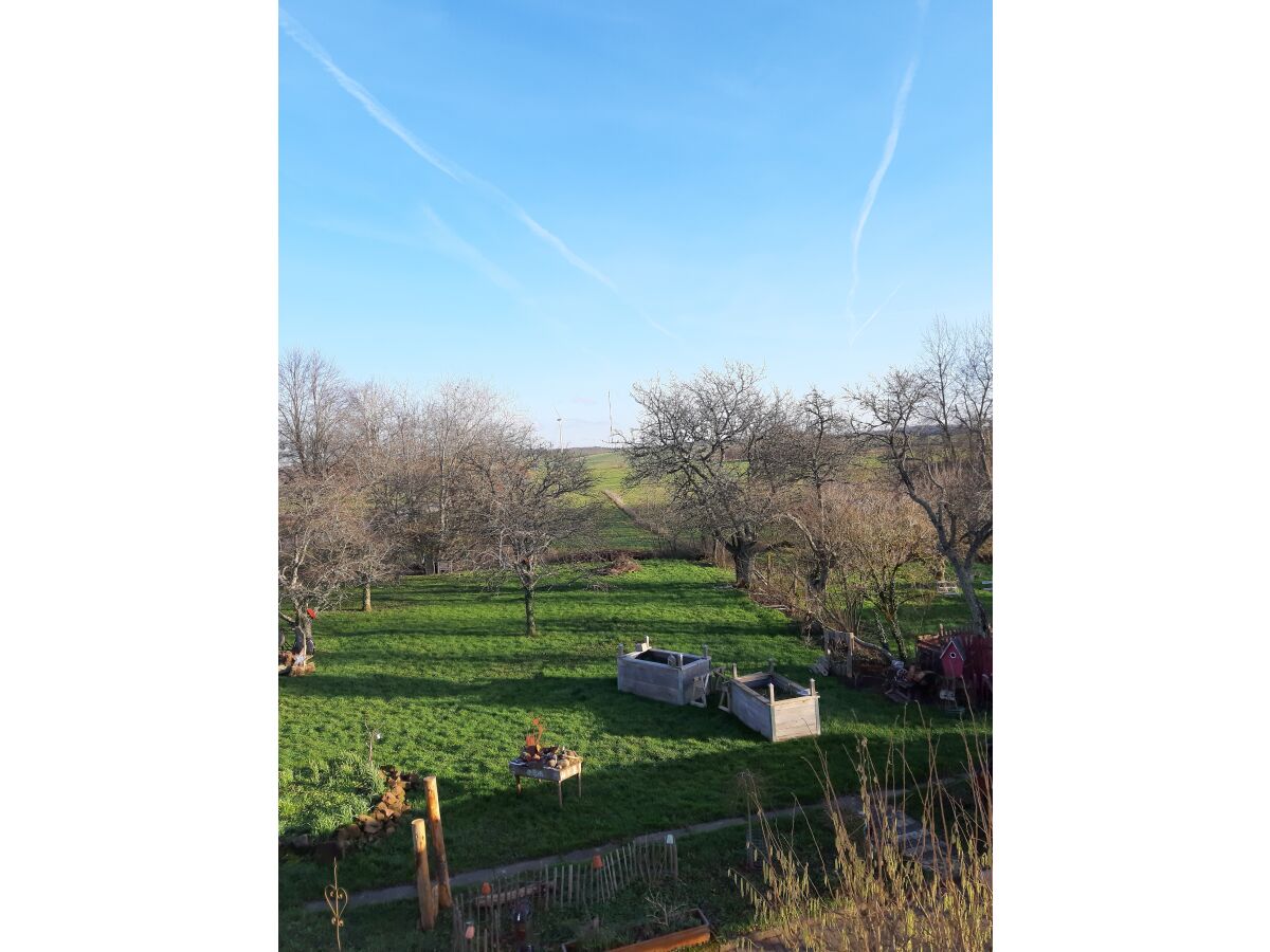 Blick auf den angrenzenden Dorfgarten