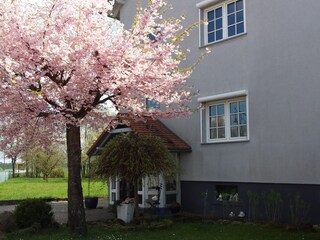 Appartamento per vacanze Pirmasens Caratteristiche 22