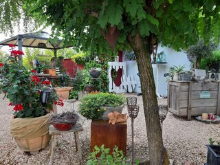 Appartamento per vacanze Pirmasens Registrazione all'aperto 3