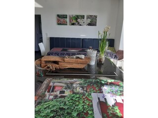 Appartamento per vacanze Pirmasens Caratteristiche 25