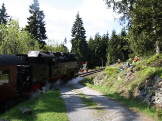 Ferienwohnung Wernigerode Umgebung 17