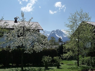 Frühling im Garten