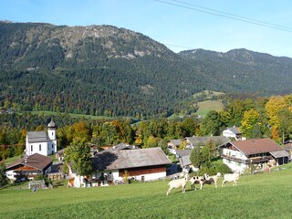 Bergdorf Wamberg