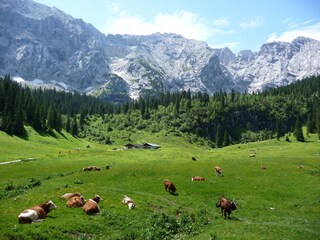 Wettersteinalm