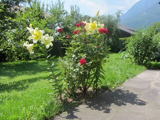 Gartenblick