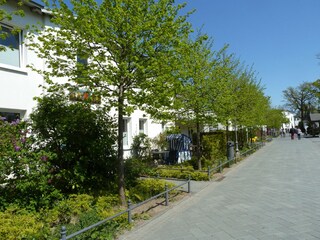 Schmachterseestr.