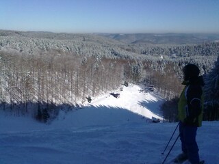 Appartamento per vacanze Zorge Ambiente 20