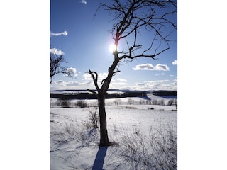 Appartamento per vacanze Zorge Ambiente 13