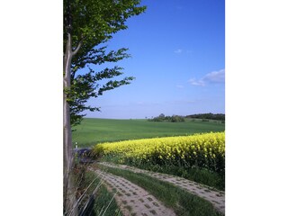 Apartamento de vacaciones Zorge Entorno 15