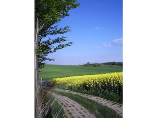 Vakantieappartement Zorge Omgeving 15