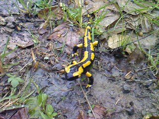 Apartamento de vacaciones Zorge Entorno 18