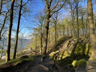 Appartement de vacances Binz Environnement 19