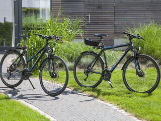 Vakantieappartement Binz Omgeving 17