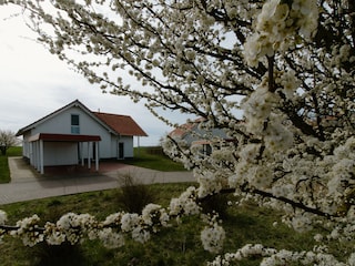 Gebäudeansicht