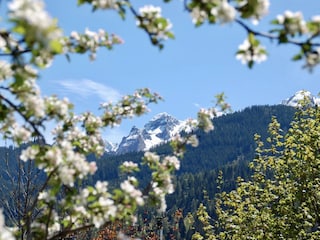 Ausblick von Chalet