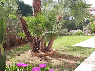 Casa per le vacanze Denia Registrazione all'aperto 13