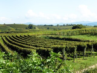 Abwechslungsreiche Landschaft