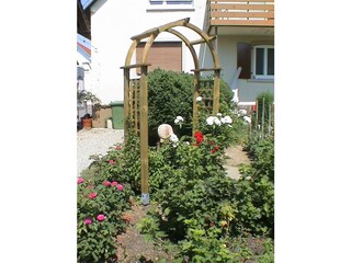 Rosen: Ein Hobby von Rita Weber