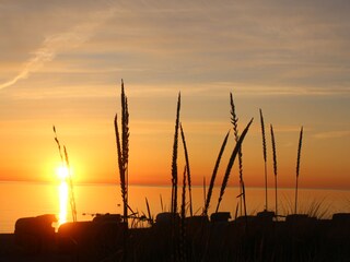 Appartamento per vacanze Niendorf (Ostsee) Ambiente 24