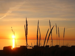 Ferienwohnung Niendorf (Ostsee) Umgebung 24