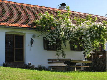 Ferienhaus Kellerstöckl Dorrer