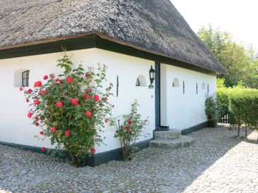 Ferienhaus Strandläufer