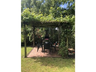 Grill unter Reben