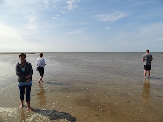 Wattenmeer