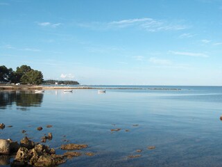 Porec Donji Spadici, Blaue Flage