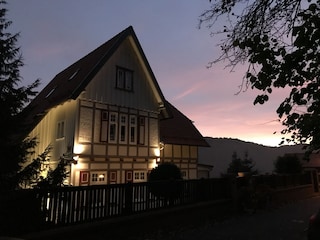in der Morgendämmerung