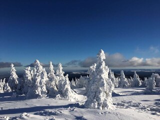 Winter auf dem Brocken
