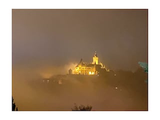 im Nebel
