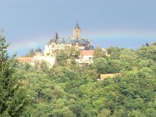 Ausblick vom Apartment