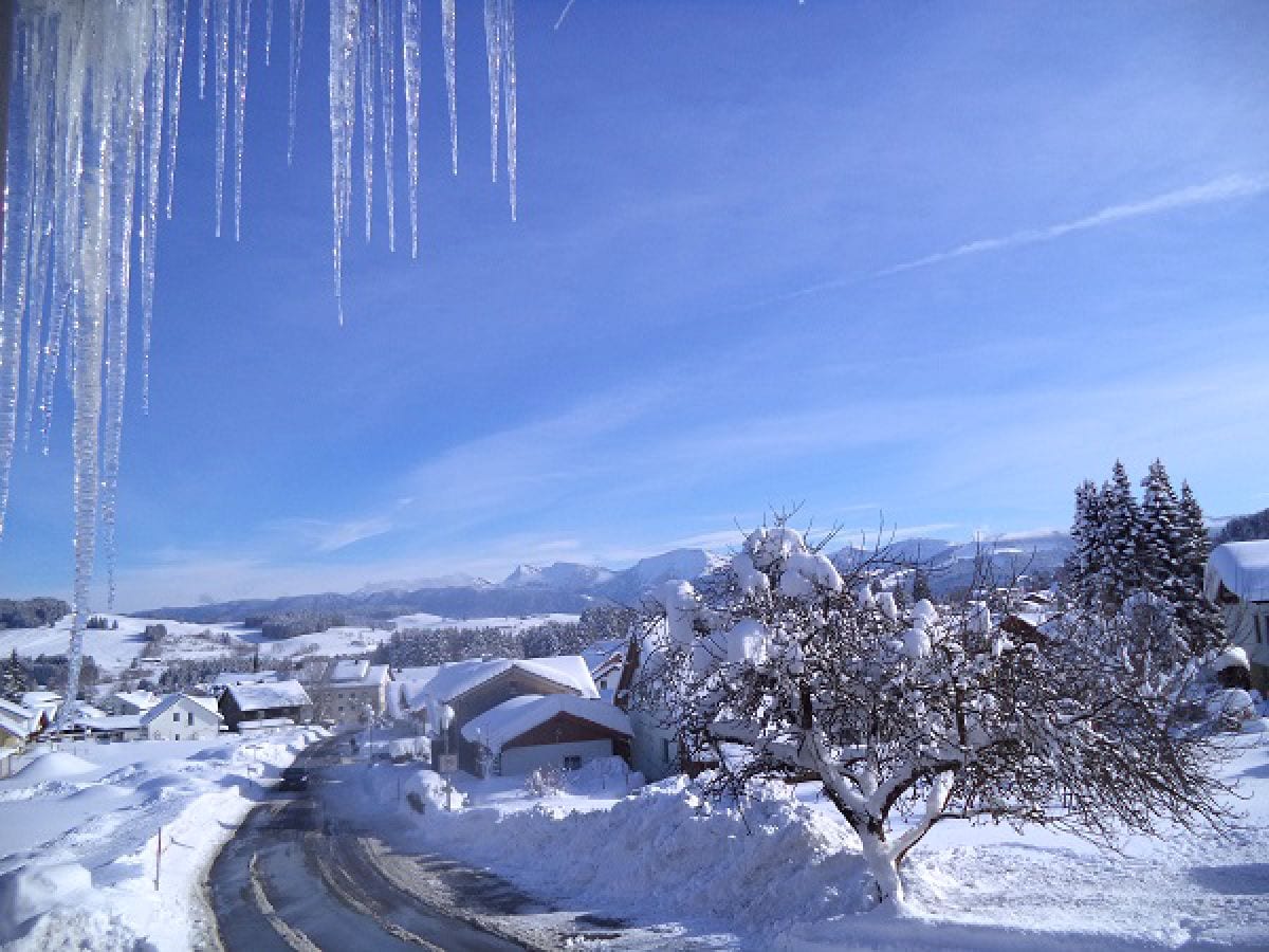 Sicht im Winter