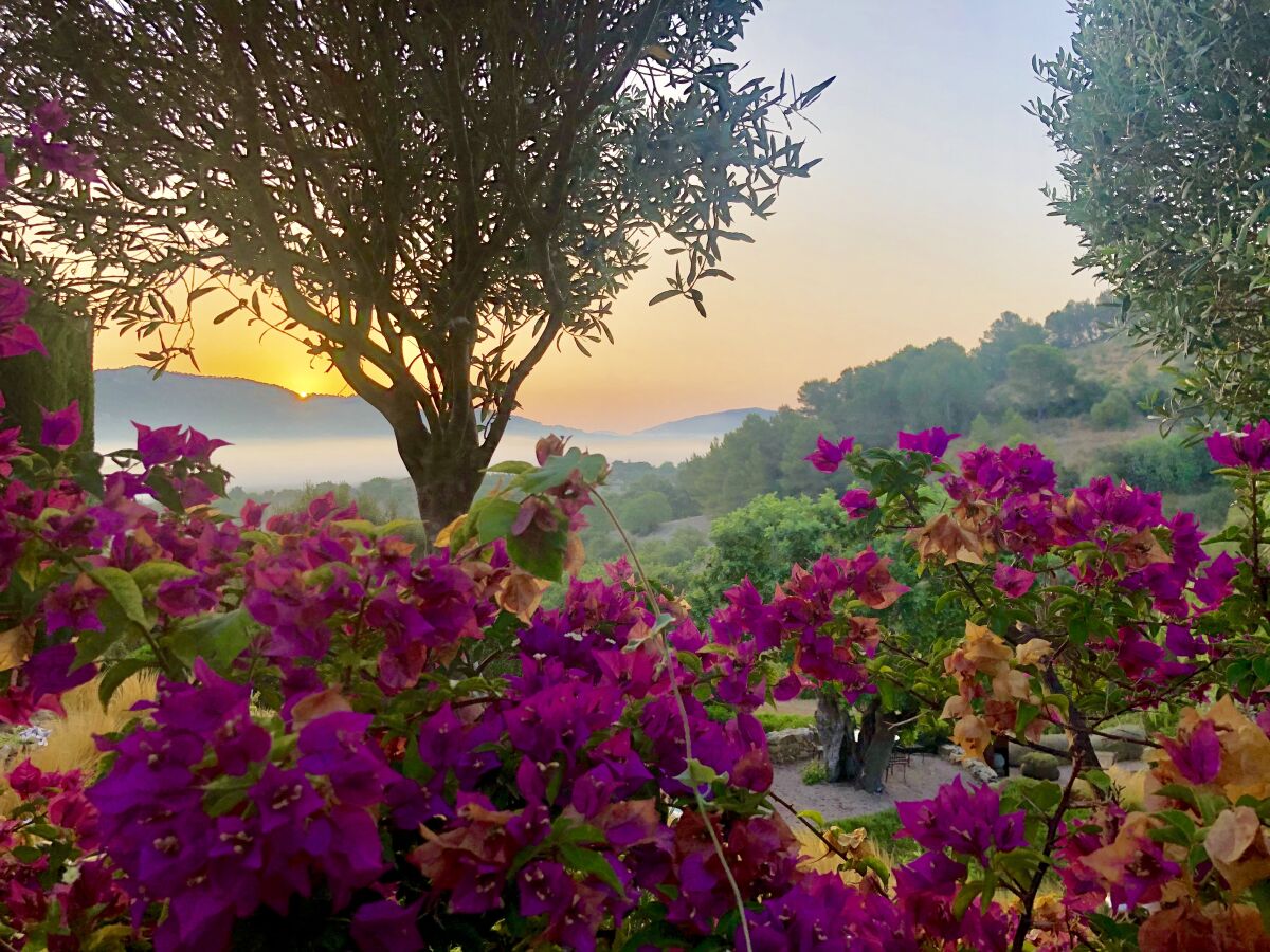 Sonnenaufgang am Pool Berech