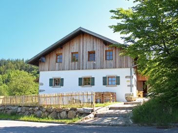 Ferienhaus Schreinerhäusl