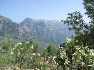 Landhaus Fornalutx Außenaufnahme 27