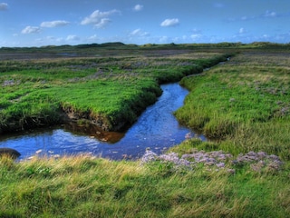Nationalpark im Inselosten