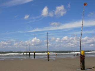 Ferienwohnung Norderney Umgebung 15