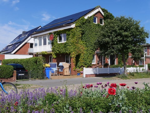 Ferienwohnung Seestern 8 Appartementhaus Seestern