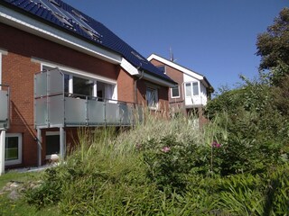 Hausseestern Südseite