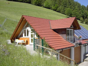 Ferienwohnung Sonneneck auf dem Gipfhof - Münstertal - image1