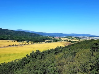 Umgebung