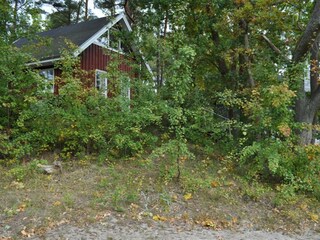 Vakantiehuis Baabe Buitenaudio-opname 2