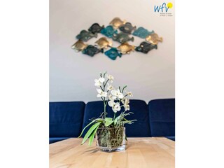 Appartamento per vacanze Borkum Registrazione all'aperto 8